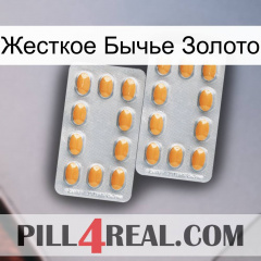 Жесткое Бычье Золото cialis4